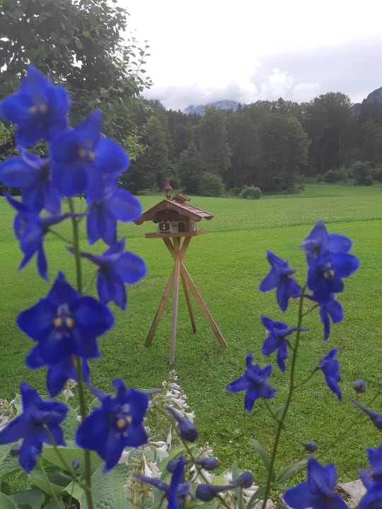 Ausblick Alm- & Wellnesshotel Alpenhof