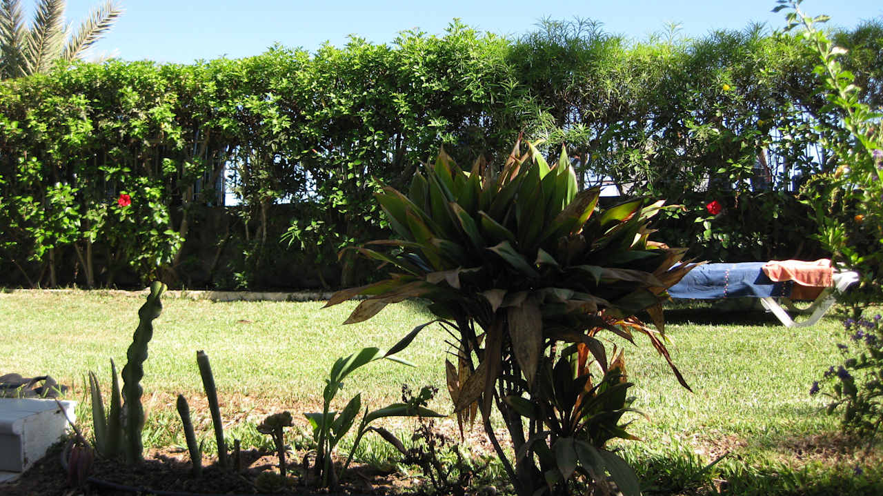 Schöner Garten  Hotel Chiripa