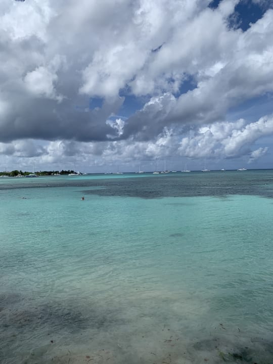 Ausblick Dreams La Romana Resort & Spa