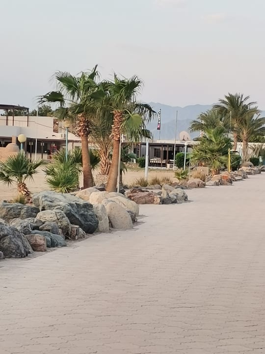 Sonstiges Shams Safaga Resort