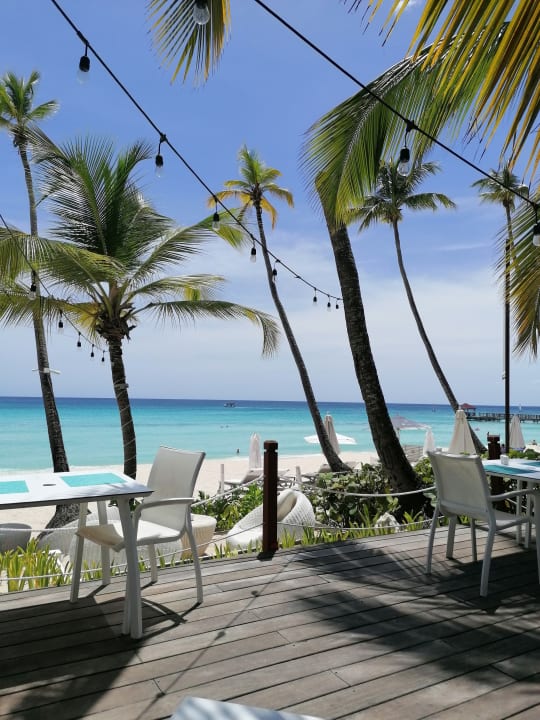 Gastro Catalonia Royal La Romana - Adults only