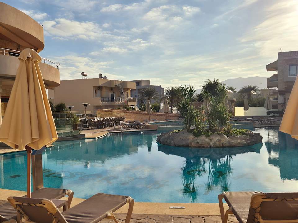 Pool Cactus Royal