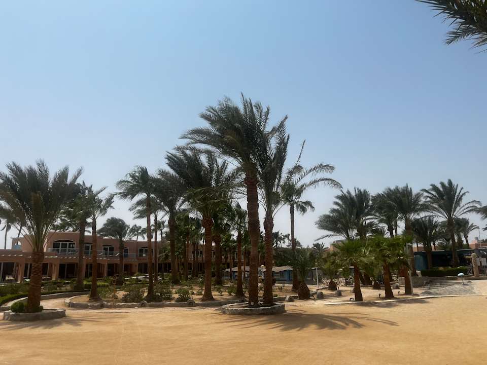 Gartenanlage Club Paradisio El Gouna, Red Sea