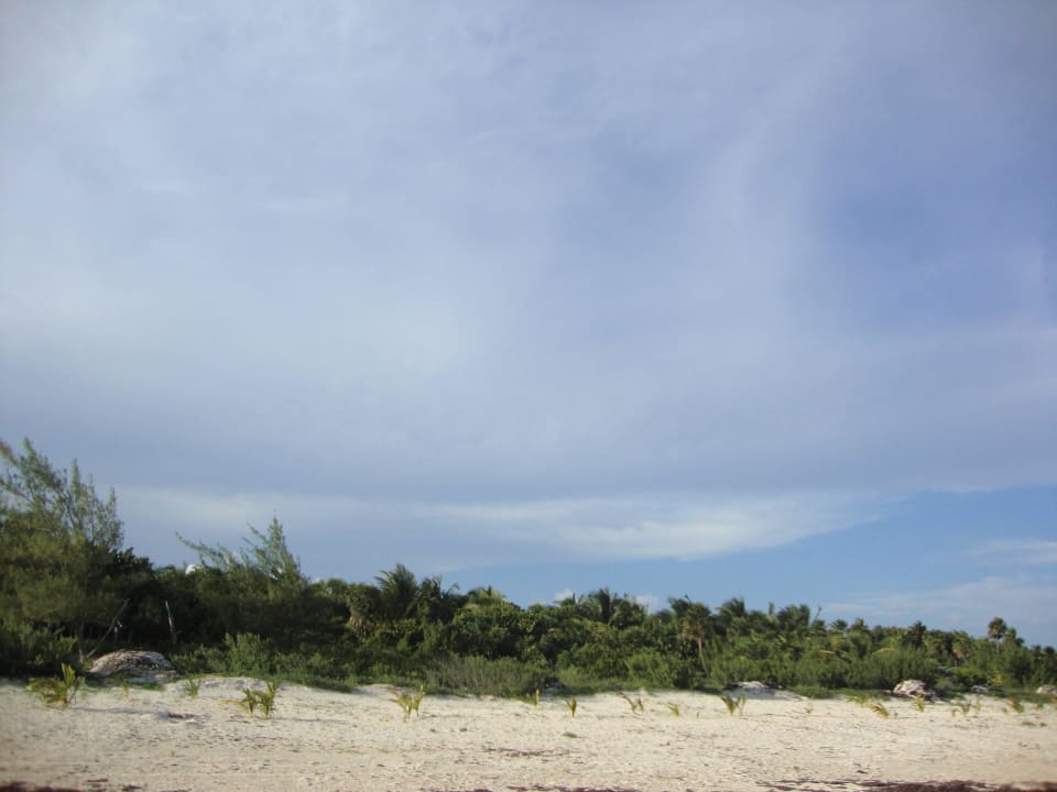 Hotel Catalonia Playa Maroma Catalonia Playa Maroma