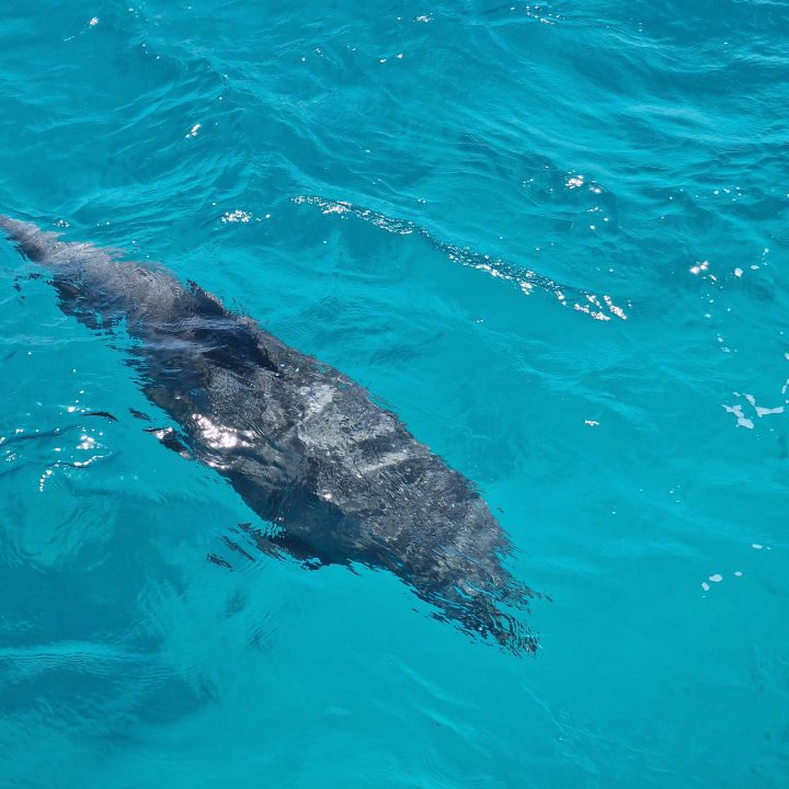 Sonstiges Cleopatra Luxury Resort Makadi Bay