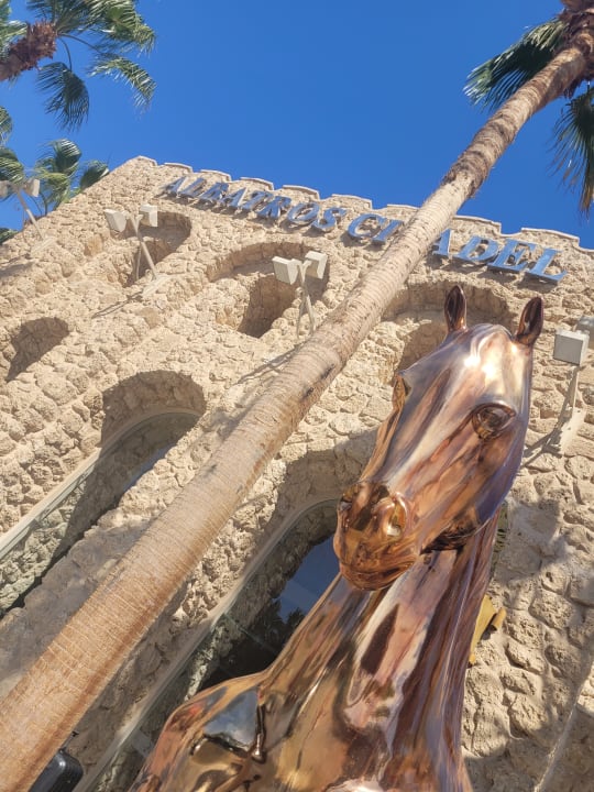 Sonstiges Pickalbatros Citadel Resort