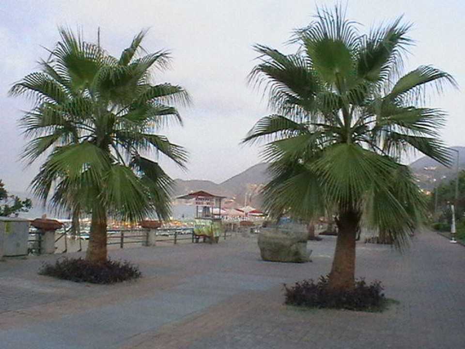 Набережная Hotel Kleopatra Alis