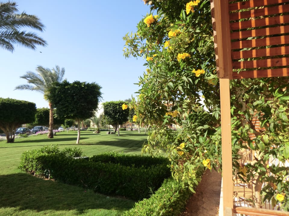 Unser Ausblick vom Balkon Desert Rose