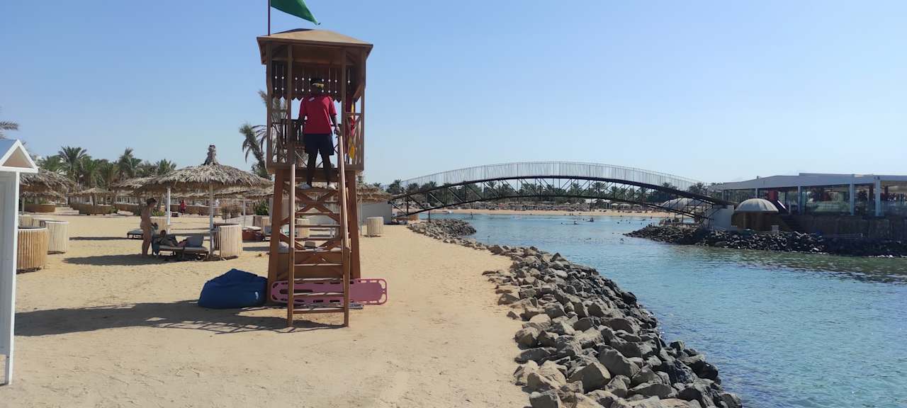 Sonstiges Desert Rose