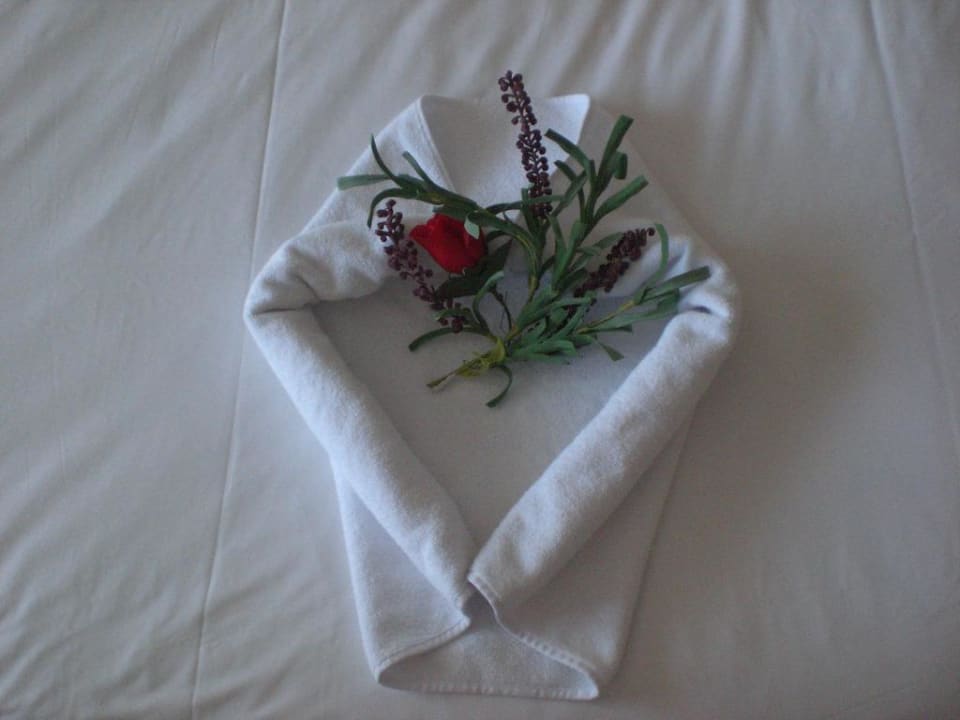 Schön hergerichtet Papillon Ayscha