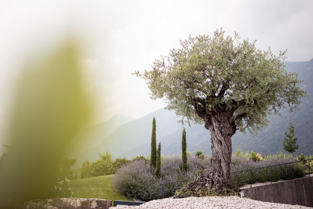 Ausblick Villa Pernstich