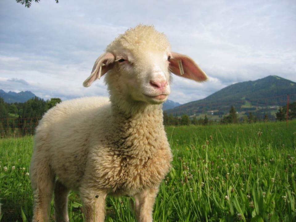 Hotel-Strand Brandstätterhof