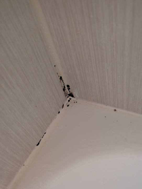 Zimmer Olympian Bay Grand Resort