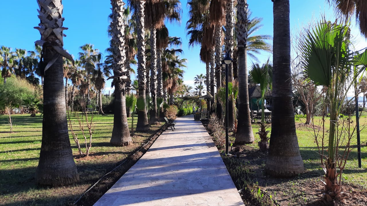 Gartenanlage Royal Atlantis Beach Hotel
