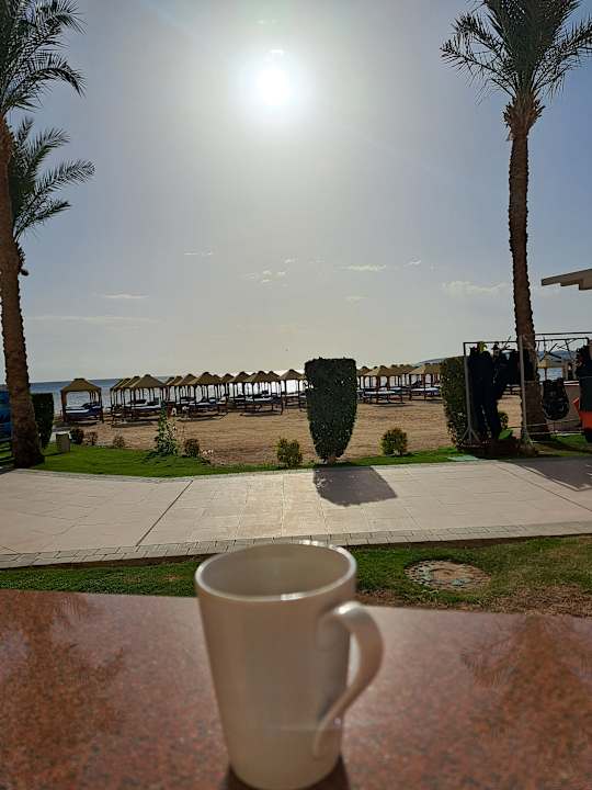 Ausblick Pickalbatros Palace Resort