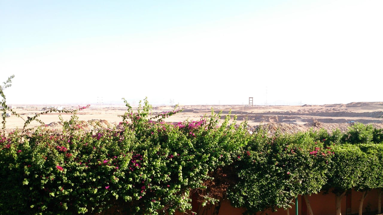 Widok z naszego pokoju Pickalbatros Aqua Park Resort - Hurghada