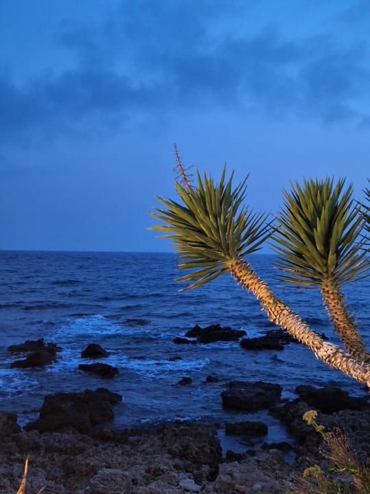 Ausblick Sandy Beach Resort