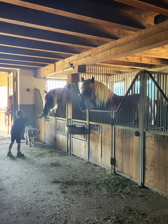 Sport & Freizeit Ferienbauernhof Elmaugut