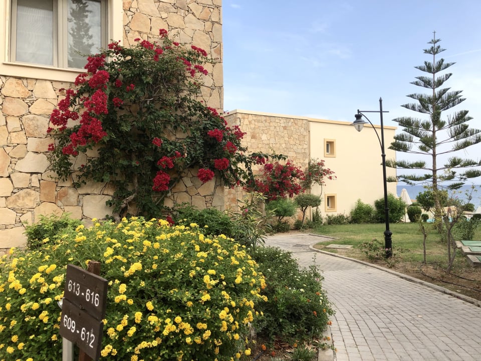 Gartenanlage Grecotel LUXME Kos