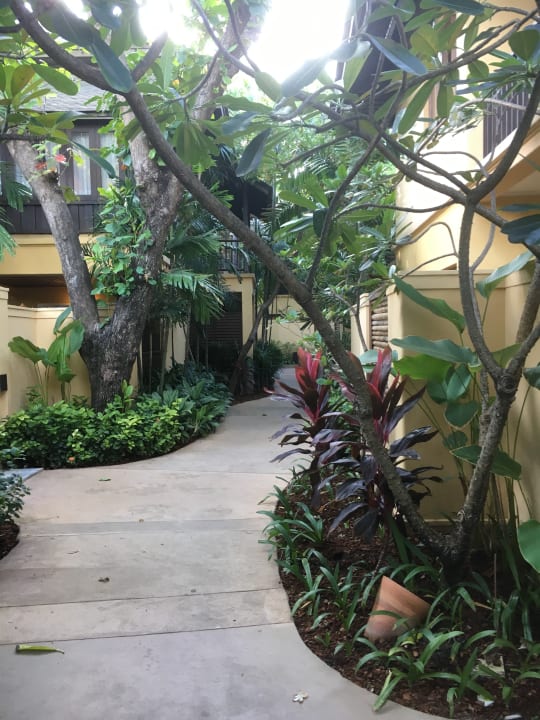 Gartenanlage Buri Rasa Village Samui Adults Only Resort