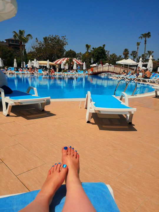 Pool Palmeras Beach Hotel