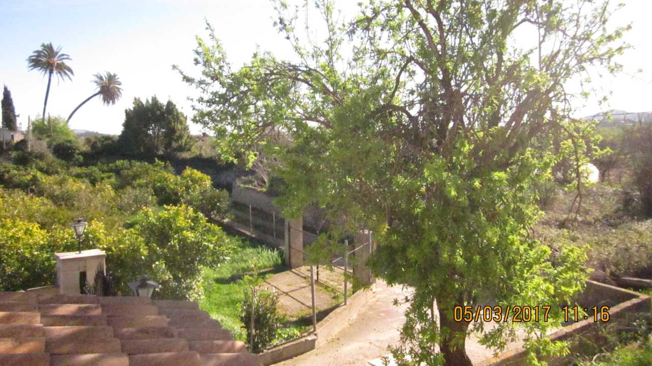 Zufahrt zur Finca von oben Finca Cas Pec