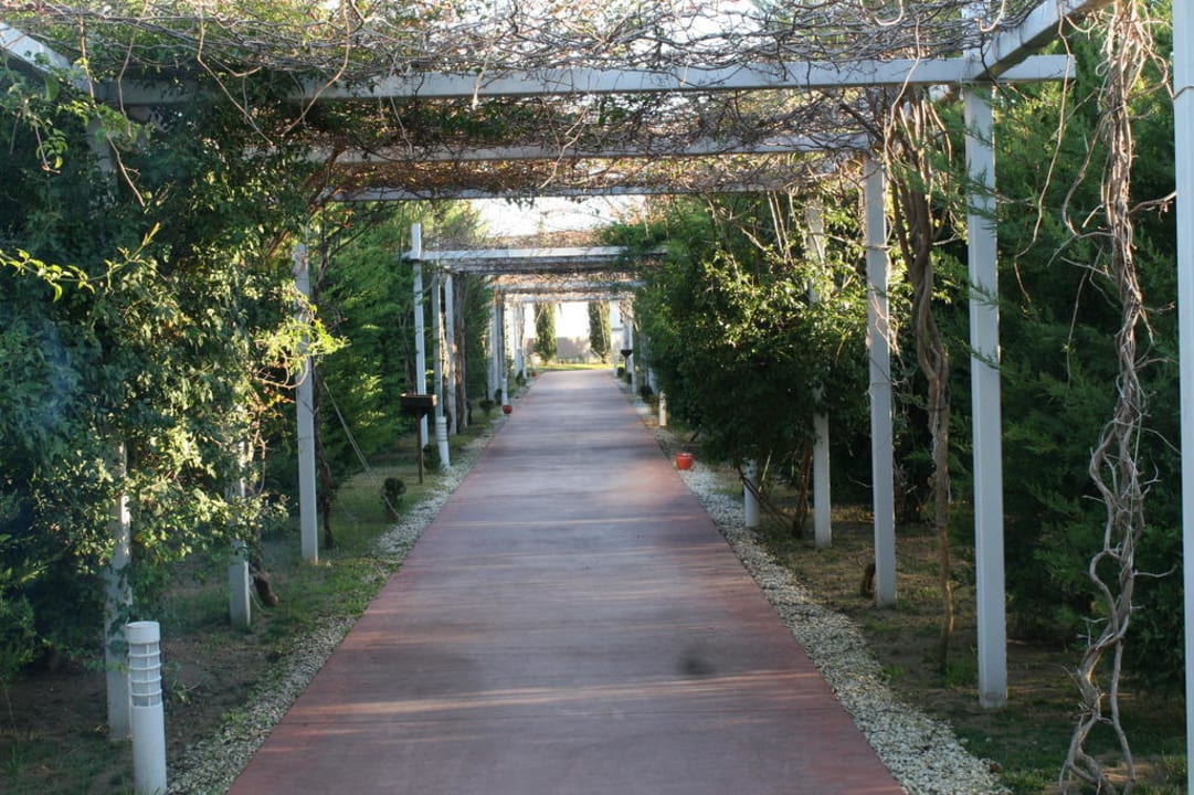 Der Weg zum Strand Saturn Palace Resort Hotel