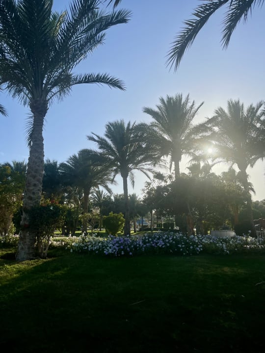 Ausblick Serenity Alpha Beach