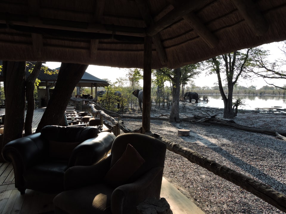 Ausblick Hyena Pan Tented Camp