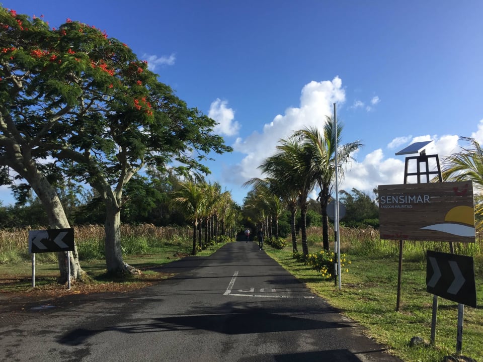 Zufahrtsstraße zum Hotel Lagoon Attitude - Adults only