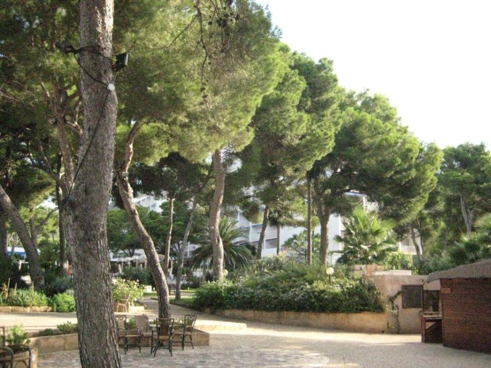 Garten Hipotels Eurotel Punta Rotja Golf & Spa