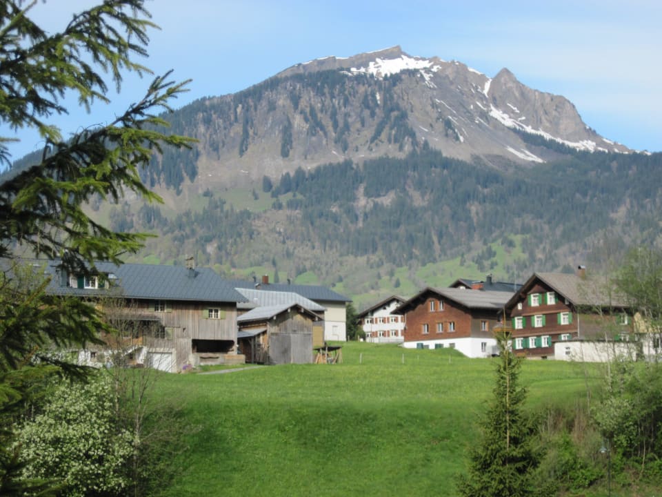 Blick  v. Zi.- Haus Rückseite Pension & Ferienwohnung Solaria