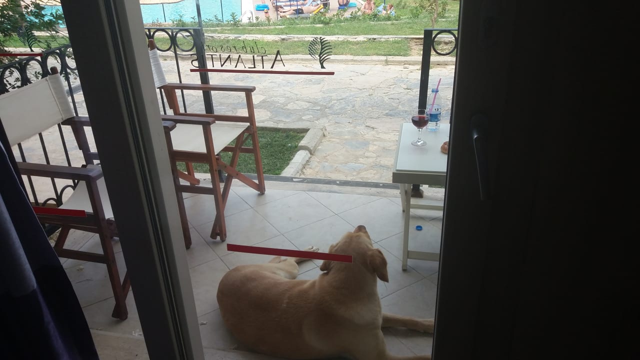 Zimmer Club Resort Atlantis