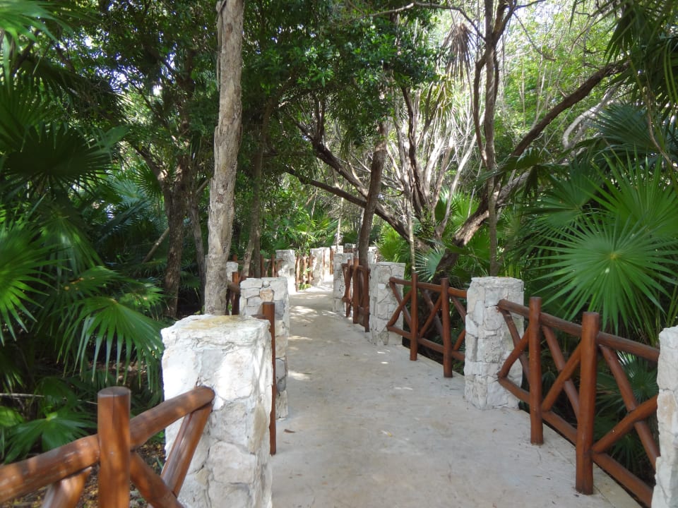Path to the beach Iberostar Waves Paraiso del Mar