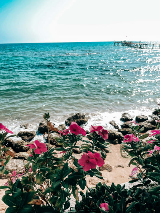 Strand Voyage Sorgun