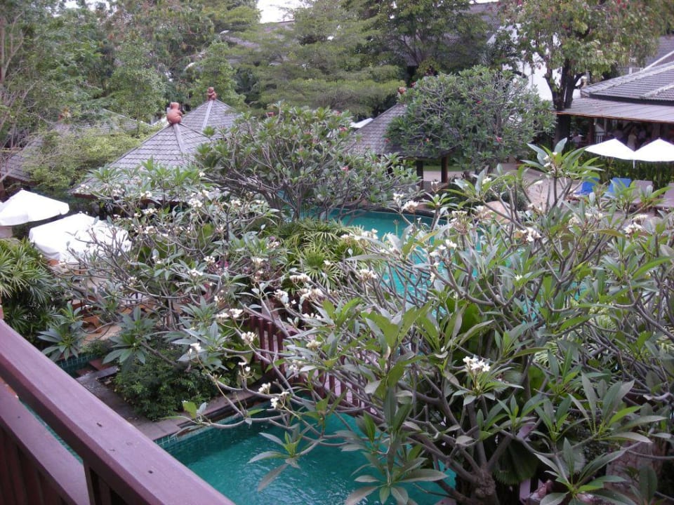 Blick vom Zimmer Woodlands Hotel & Resort