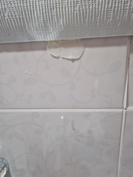 Zimmer Throne Beach Resort & Spa