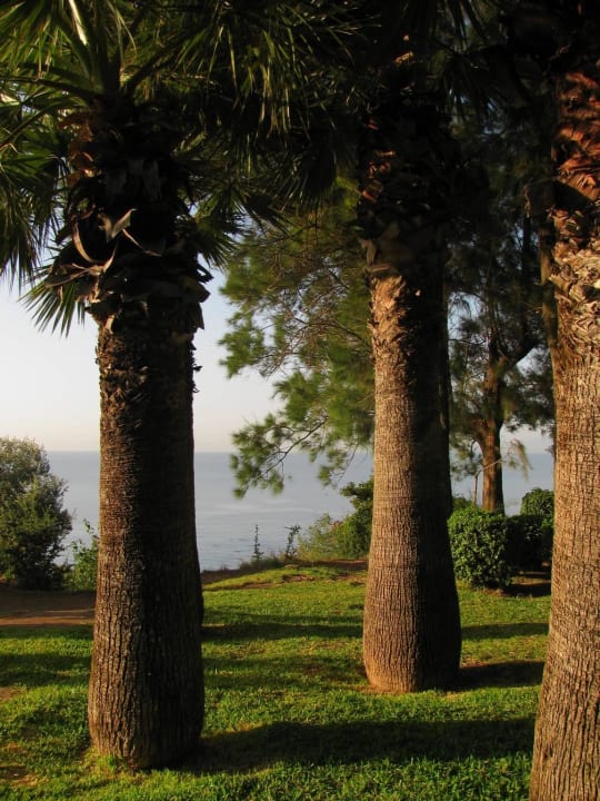 Парк по дороге к морю Hotel Özkaymak Falez