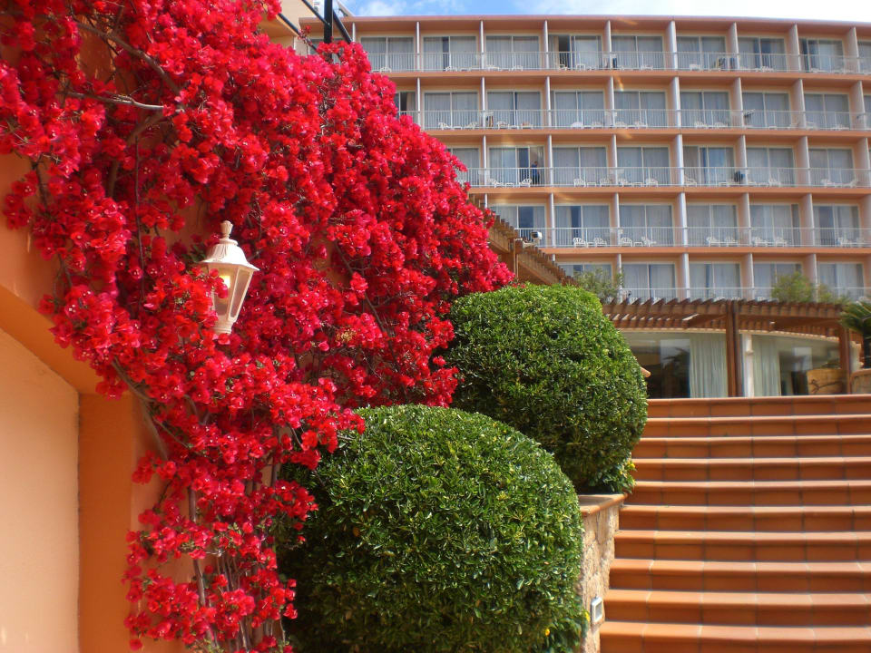 Garten Valentin Grand Park Suite Hotel
