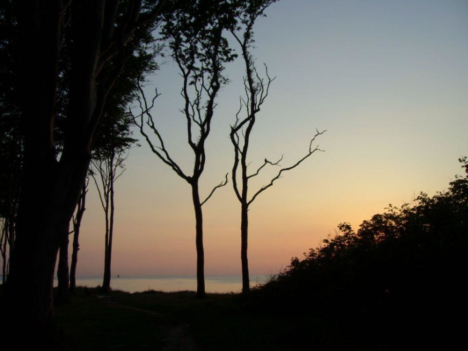 oben auf der Steilküste Ferienresort Seepferdchen