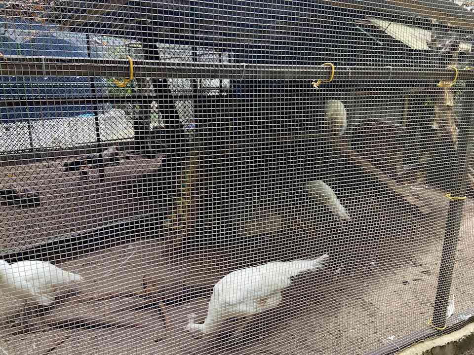 Sonstiges Kuramathi Maldives