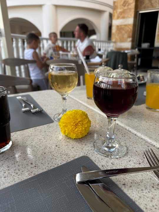 Gastro Arycanda Kirman Premium