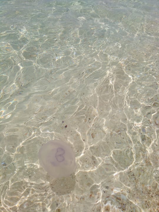 Strand LABRANDA Club Makadi