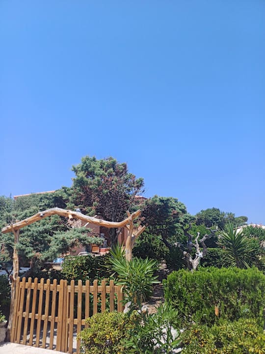 Gartenanlage Hotel Baia delle Mimose