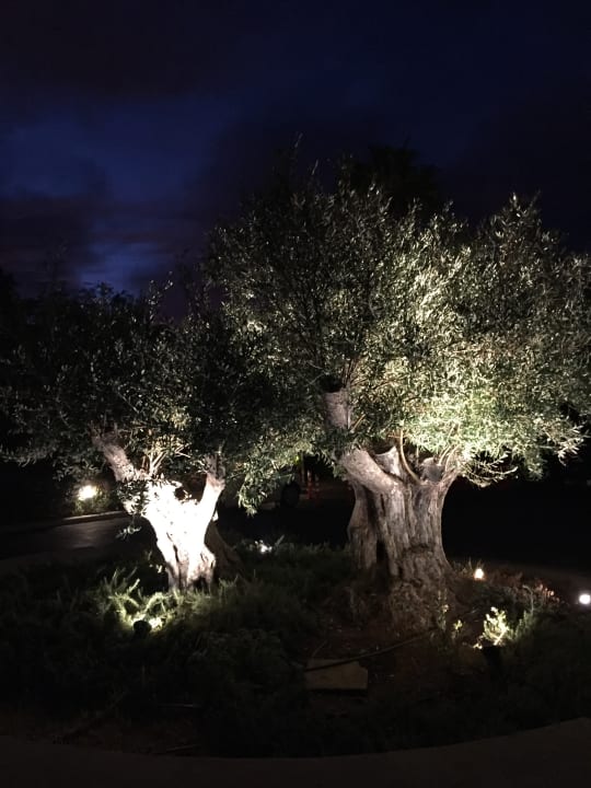 Gartenanlage Phãea Cretan Malia