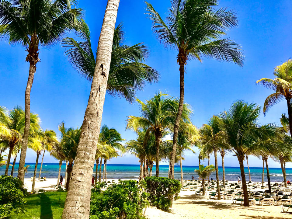 Strand Hotel Riu Tequila