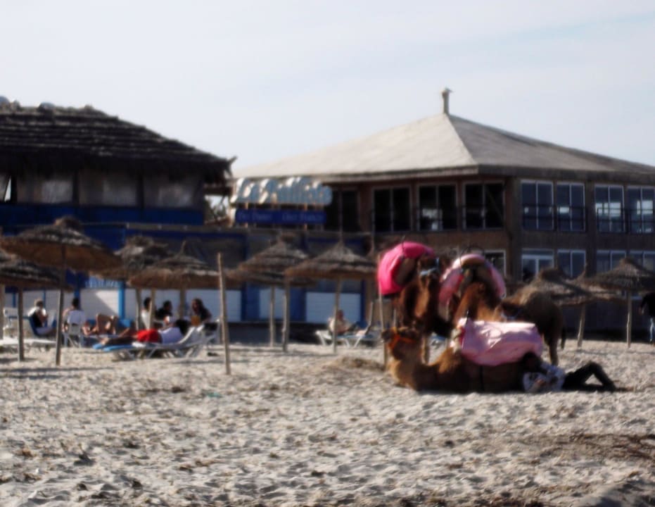 Hotel-Strand Caribbean World Thalasso Djerba