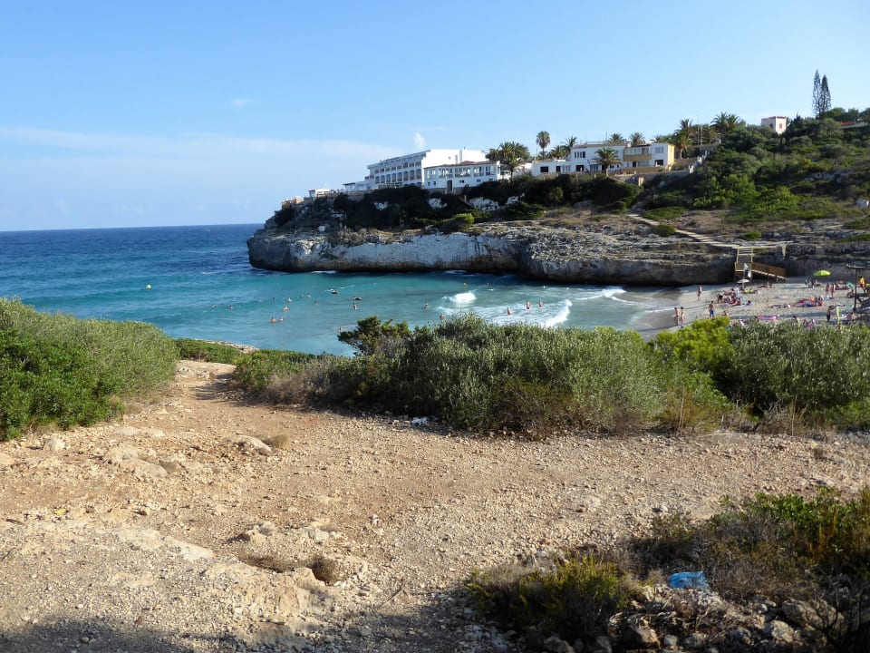 Die Bade-Bucht Iberostar Waves Cala Domingos