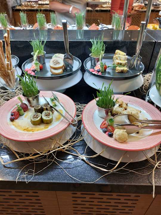 Gastro Seashell Vega