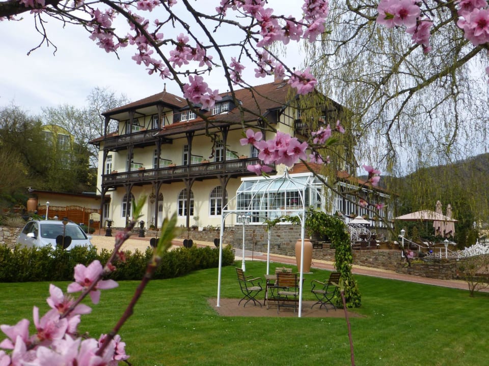 Seitlicher Blick zum Hotel PARK VILLA zentral am Mittelrhein
